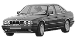 BMW E34 P2219 Fault Code